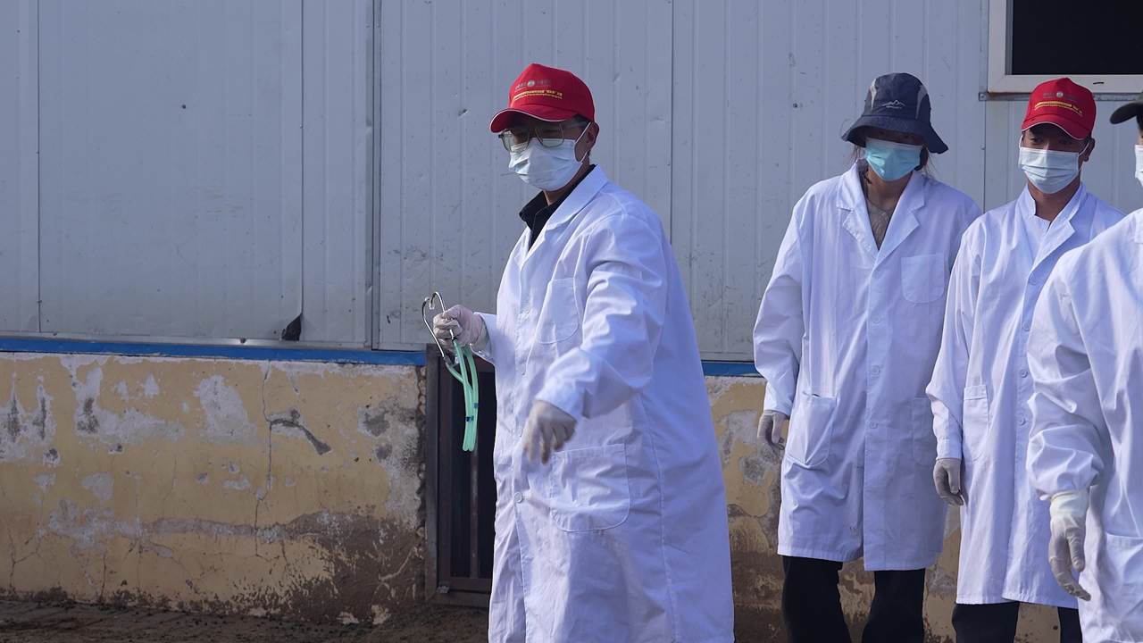 养殖场兽医防疫工作