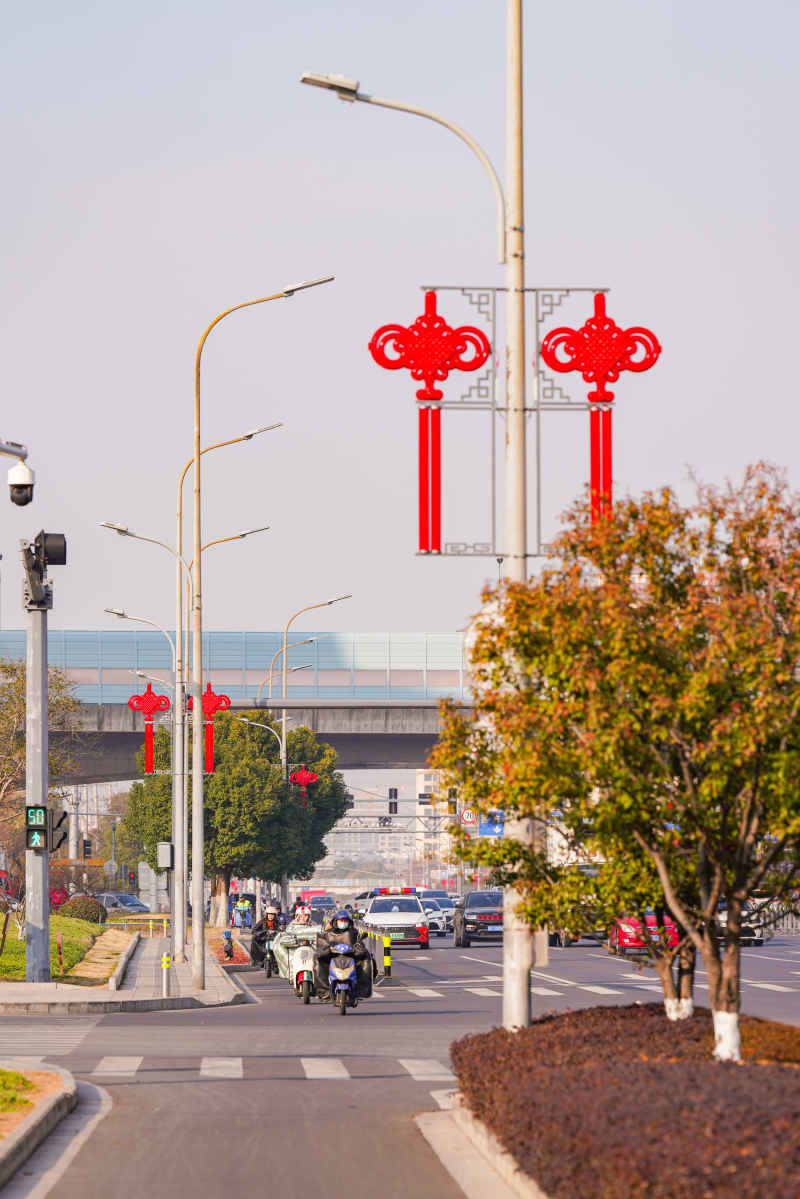 道路上的新春中国结 4