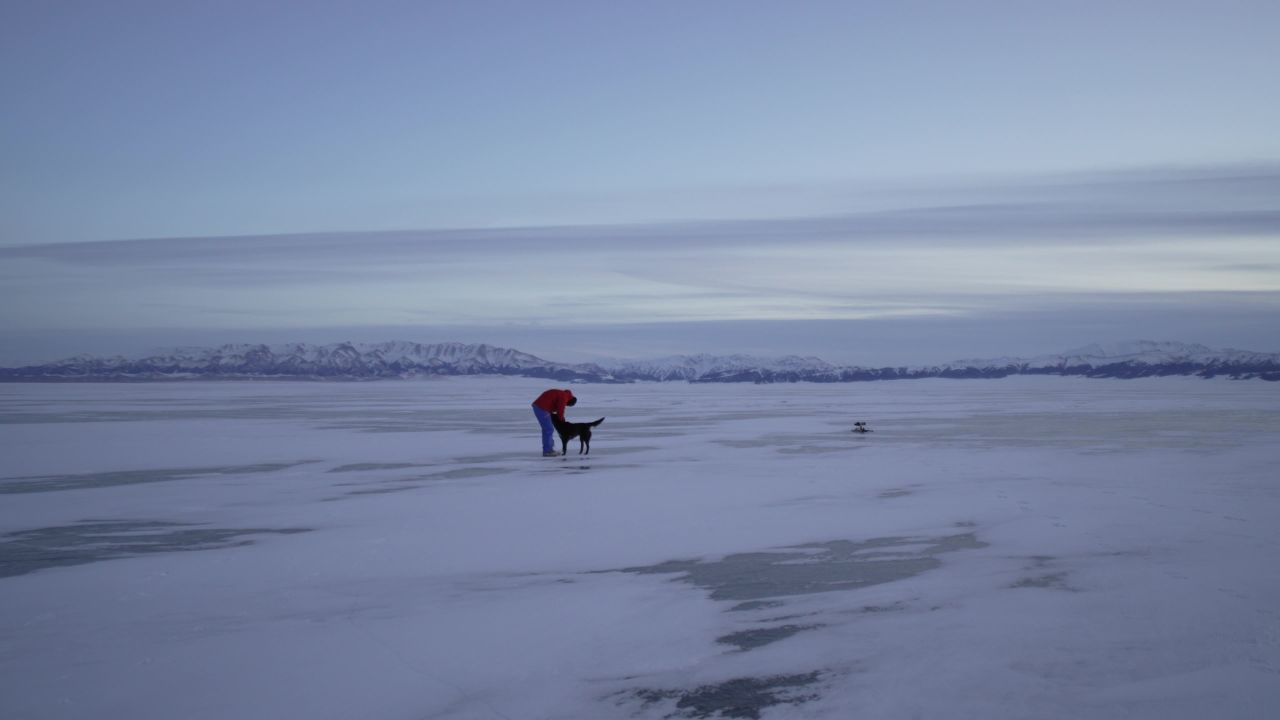 冬季赛里木湖人与狗和谐相处冰面