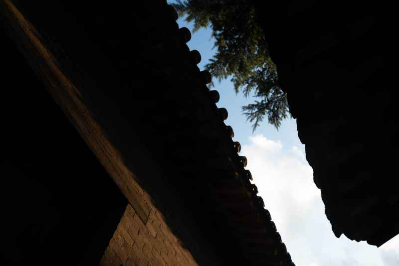 潍坊十笏园 13