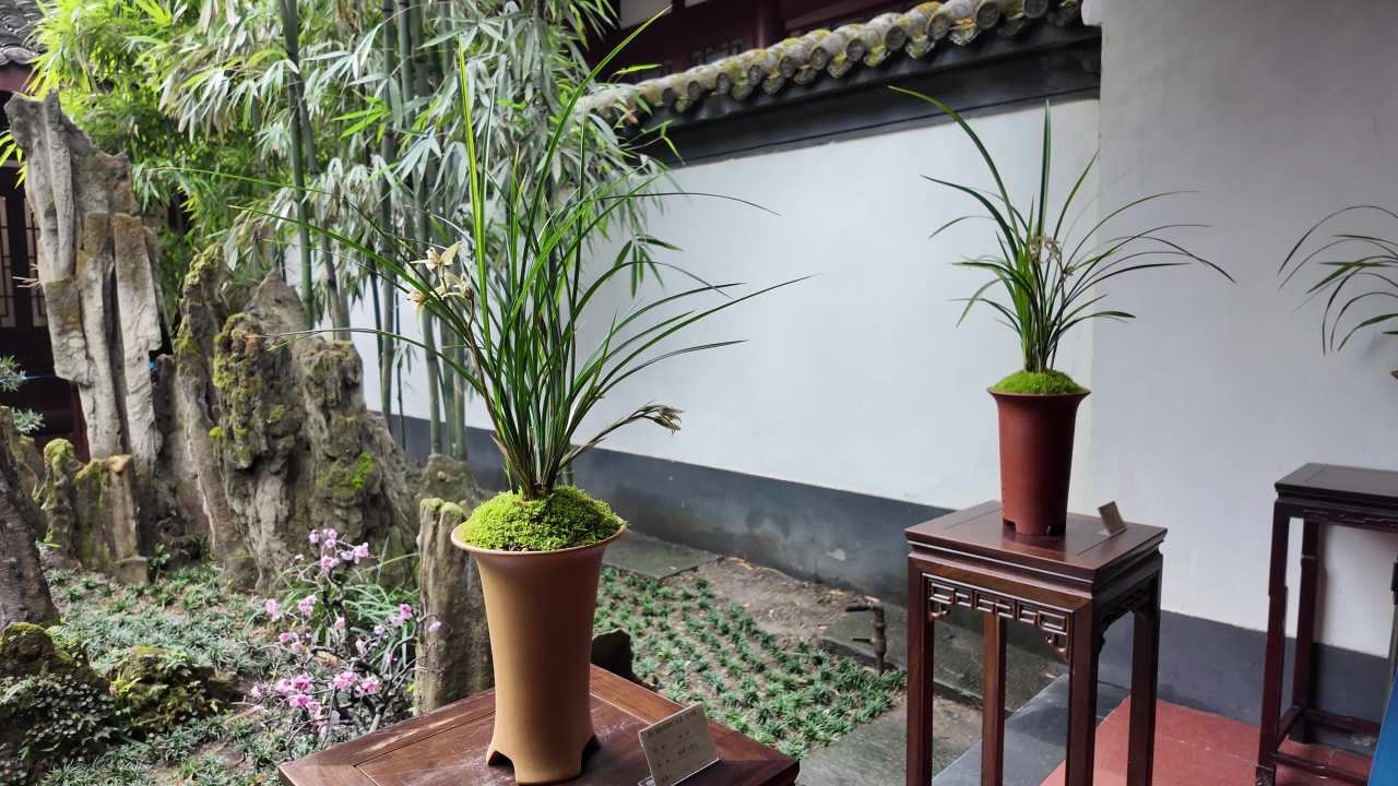 DJI_20250306111136_0151_D