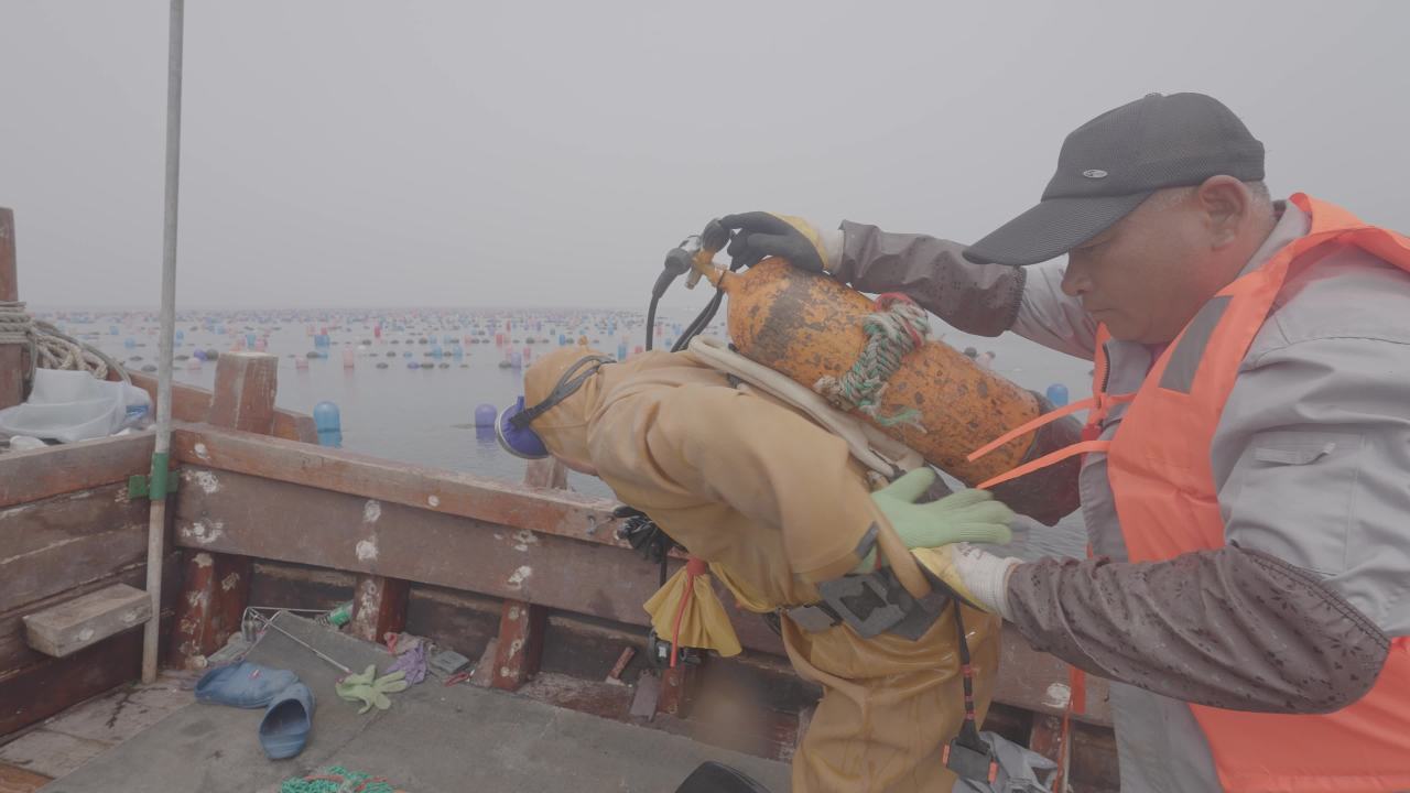 海参捕捞与渔民潜水作业