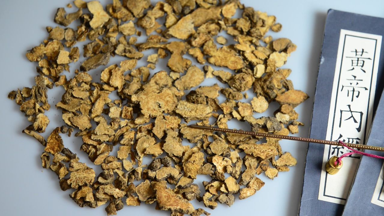 中药材苍术 20