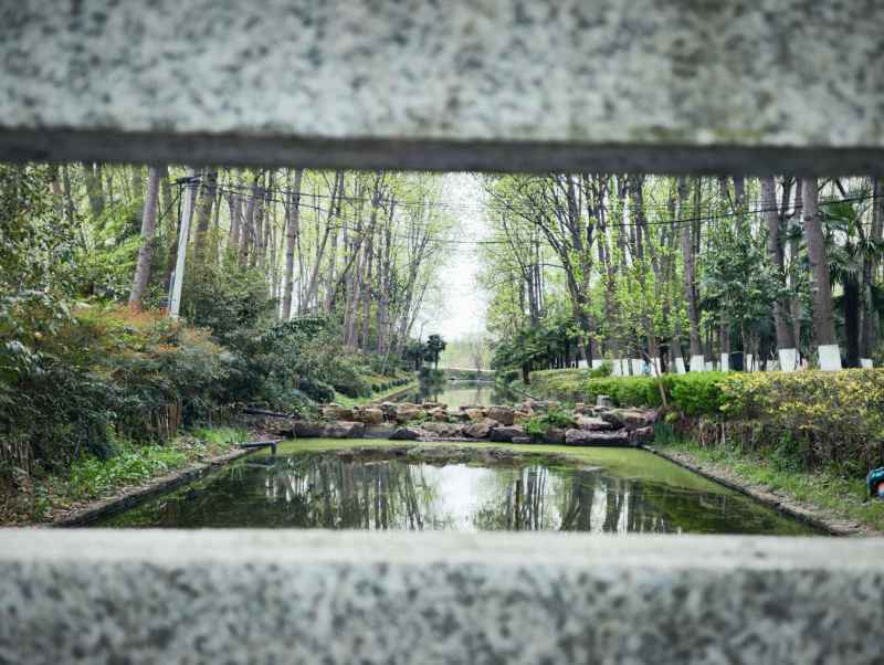 园林取景