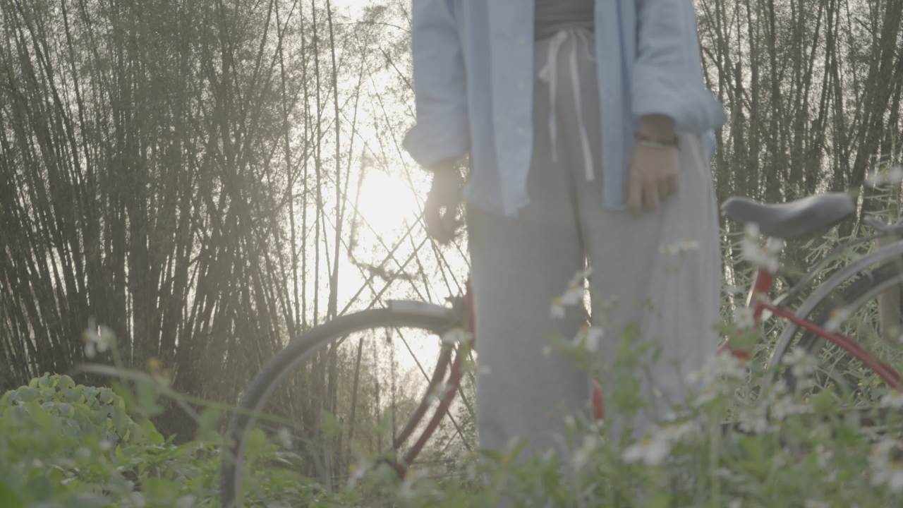 自行车 10