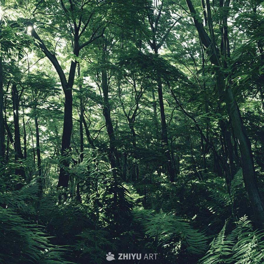 茂密的绿色森林，生长着各种各样的树木。 树木密集地