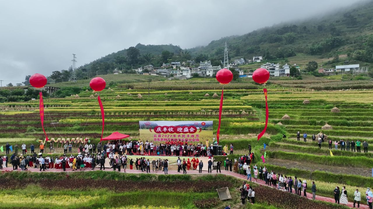丰收的喜悦 70