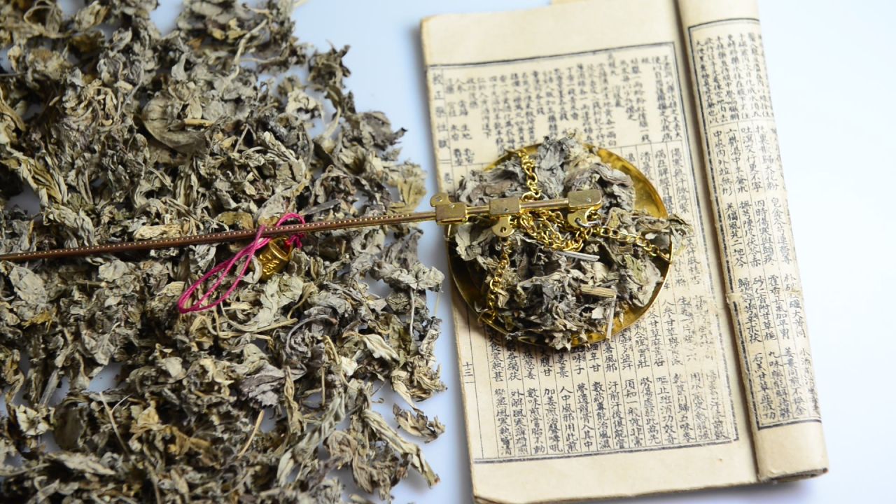 艾叶中草药 23
