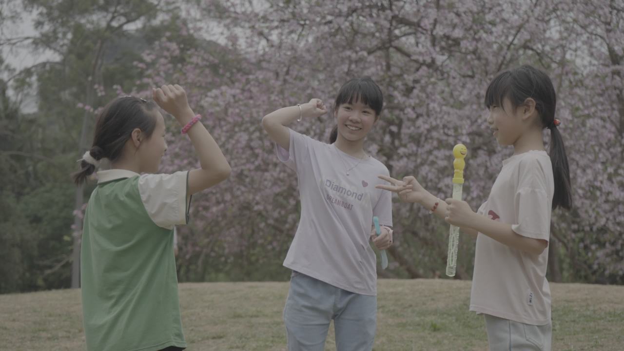 龙潭公园 8