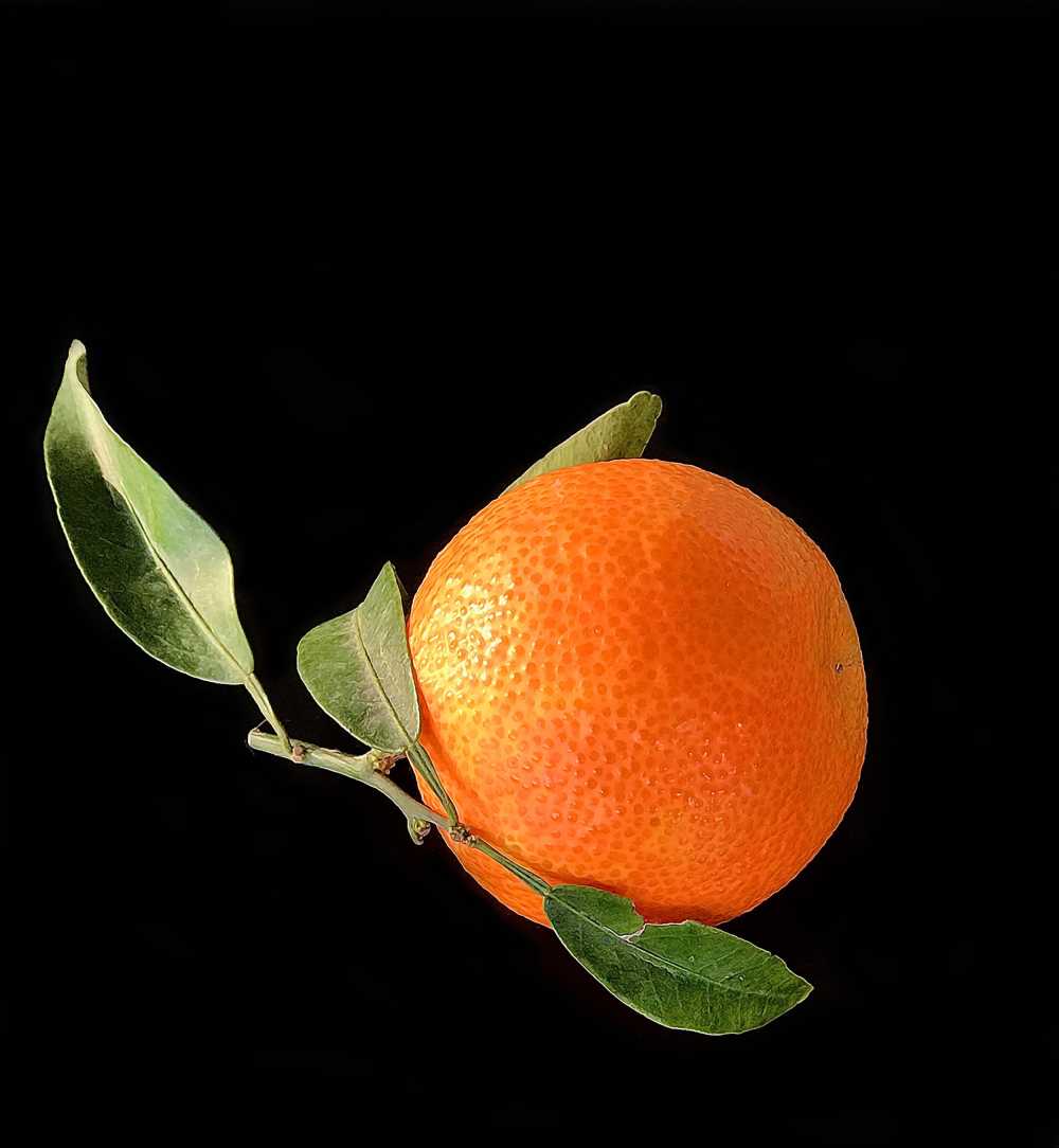 橘子柑橘类水果水果