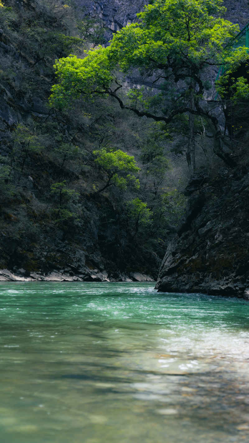 岗曲河