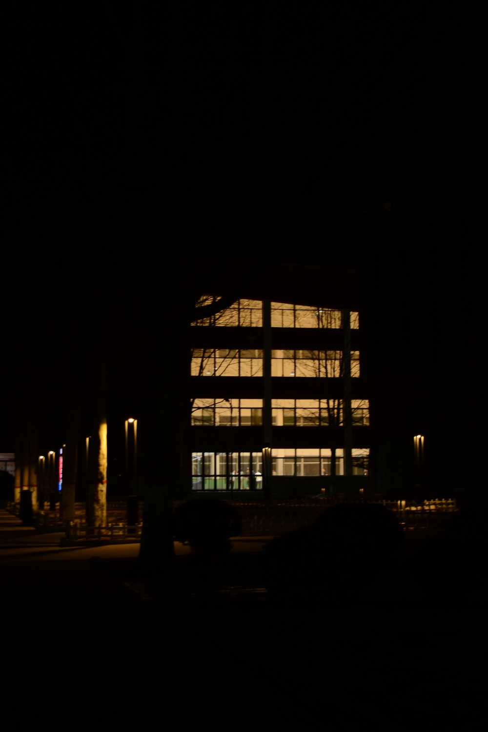 夜楼