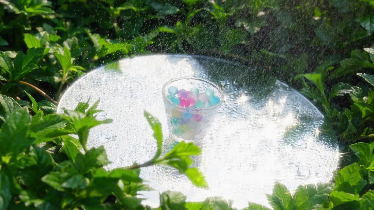 草丛里的水宝宝闪耀着光芒