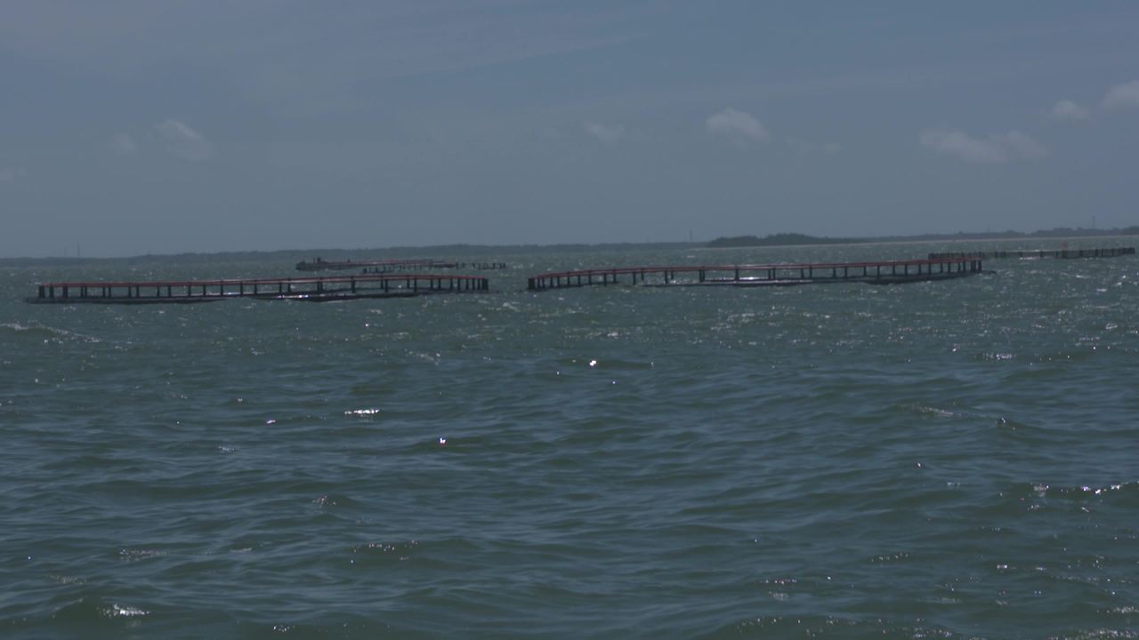 海洋牧场深海养殖