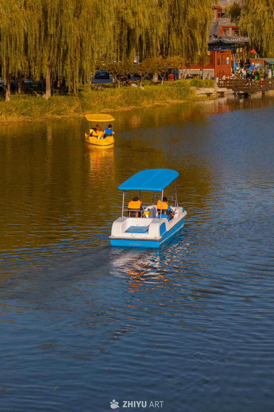 湖上泛舟，柳影婆娑