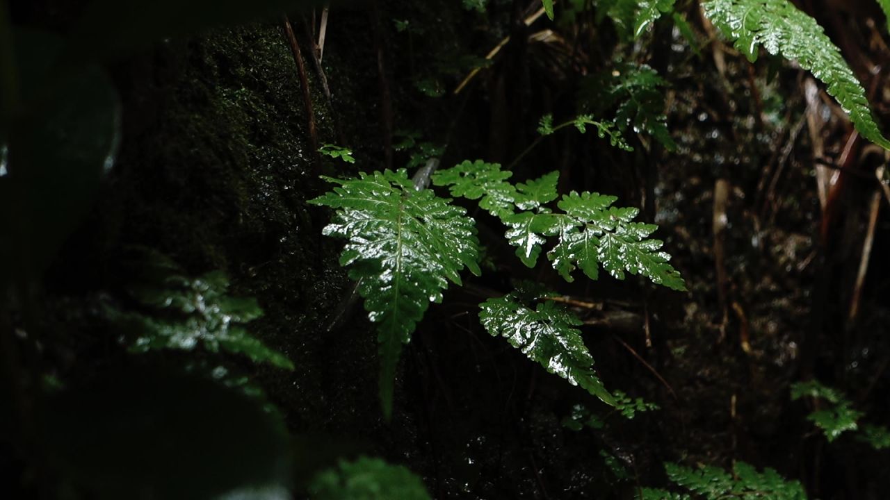 下雨天