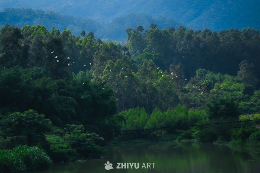 林海