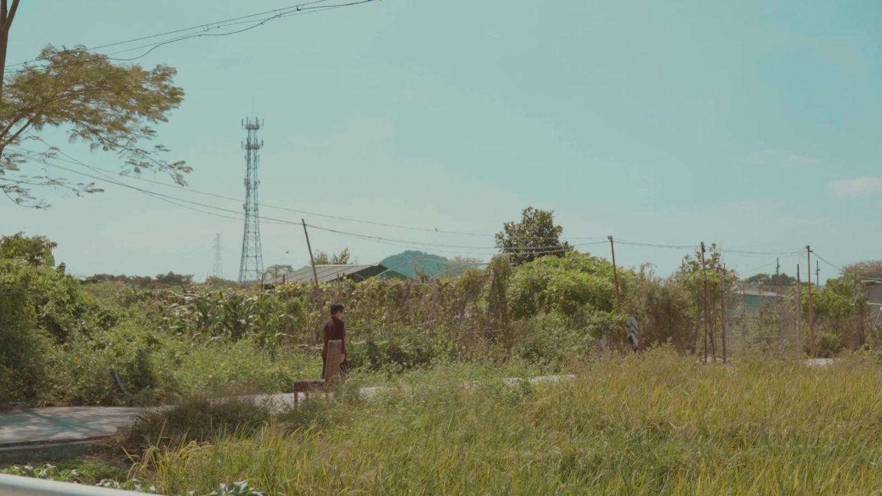 田野里的老奶奶