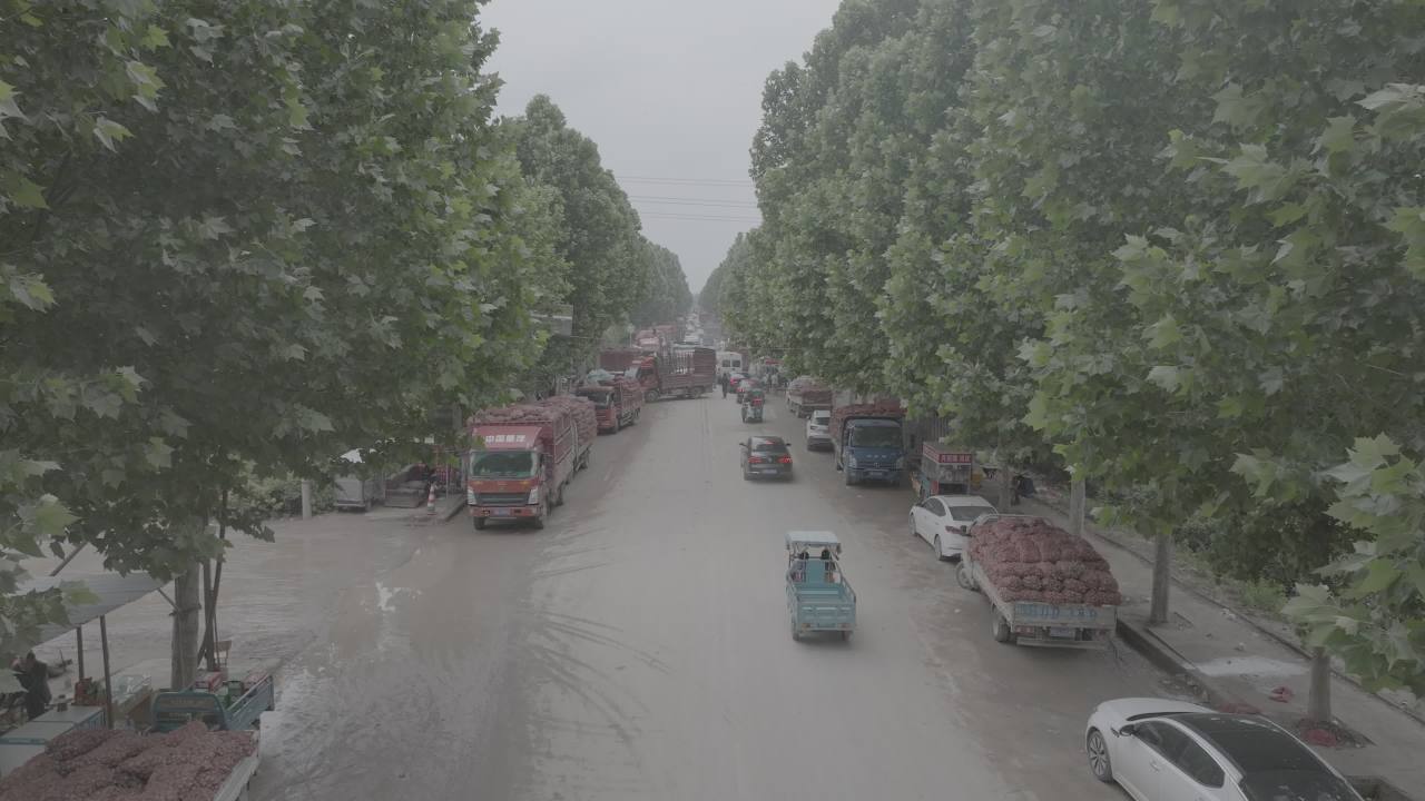 乡村道路的繁忙景象