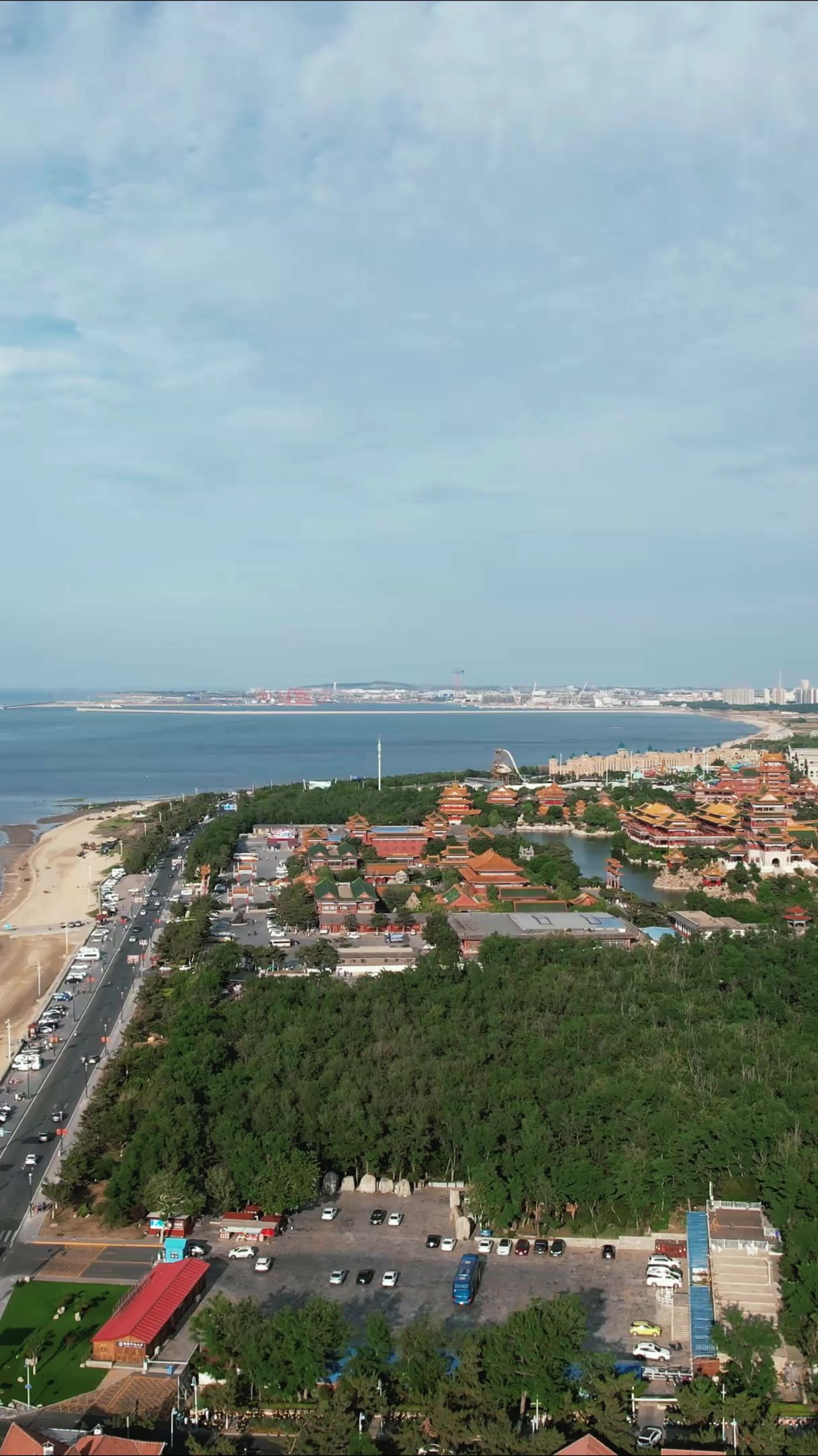 大海海浪沙滩风景浪花竖屏航拍  