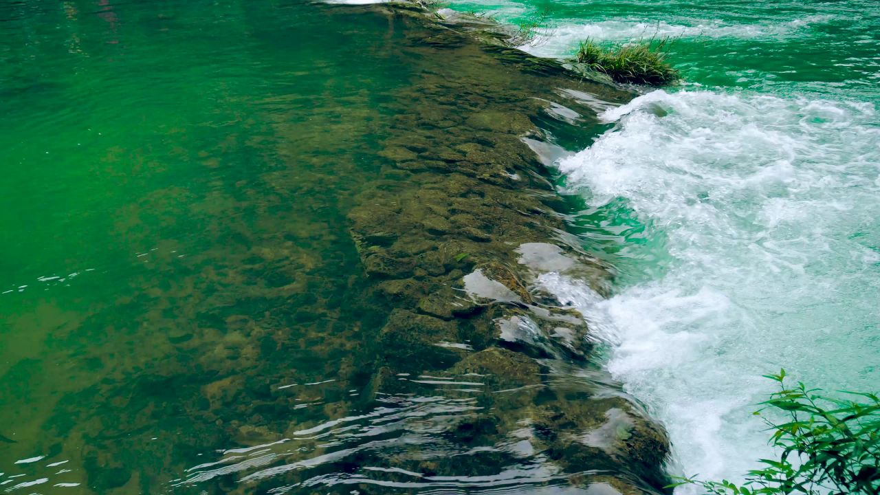 4K流水河流清澈大自然特写