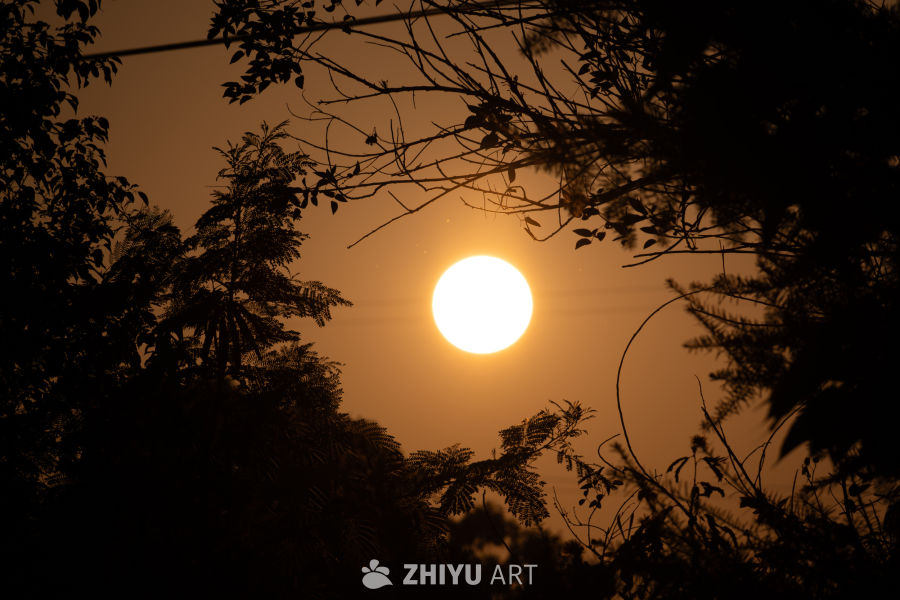 夕阳
