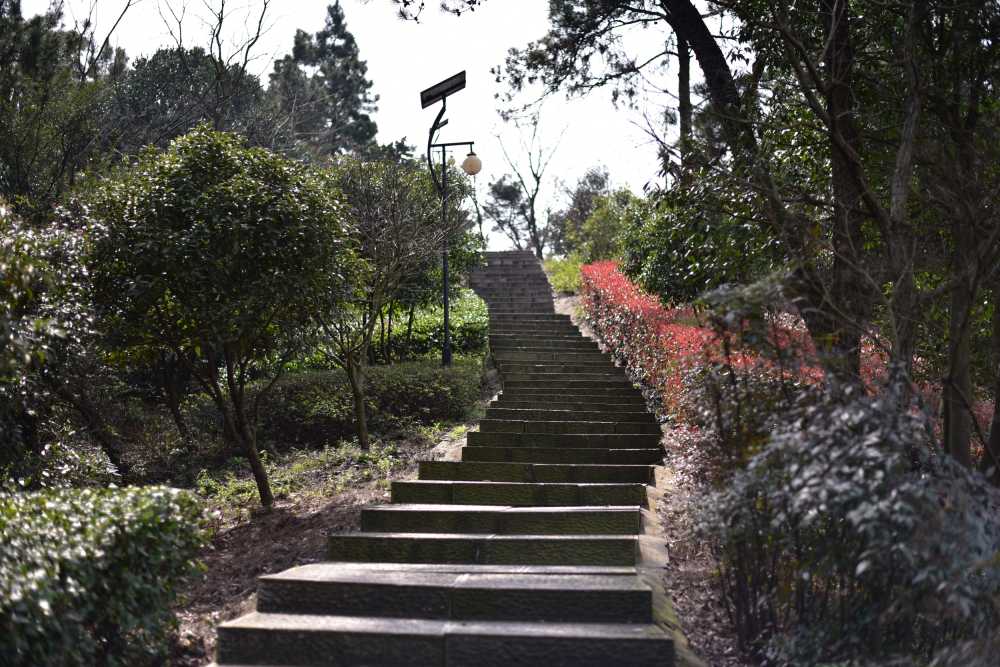 上虞龙山公园