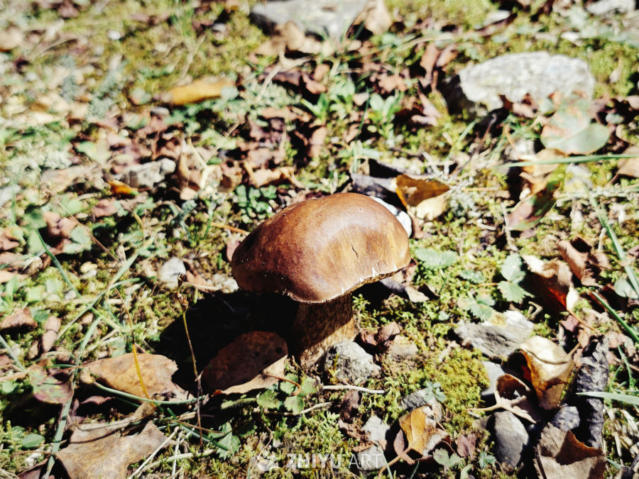 互助北山森林公园