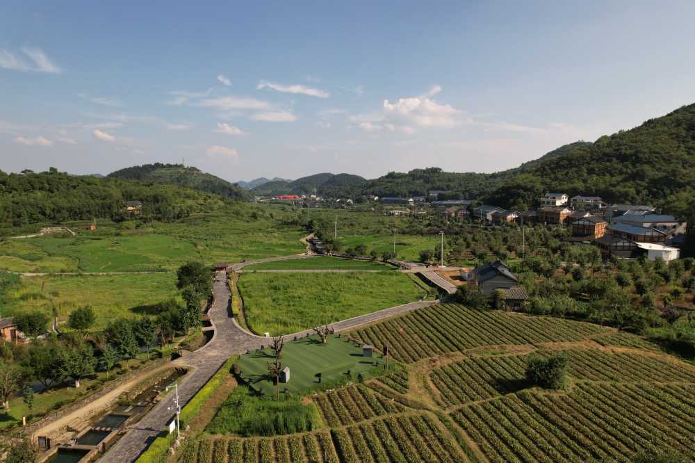 田野