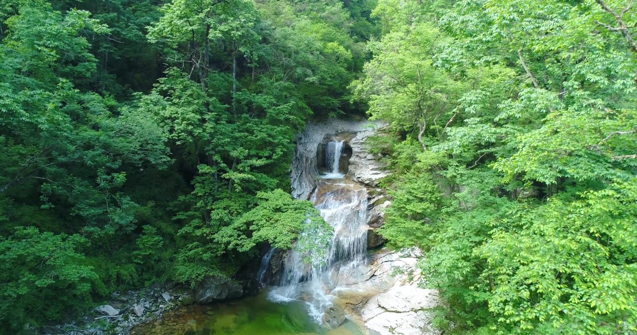 4K航拍流水河水自然树林小溪实拍
