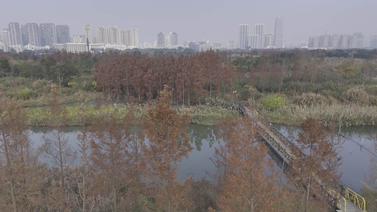 冬日的湿地 9
