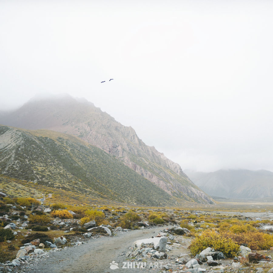仁龙巴和雅隆冰川