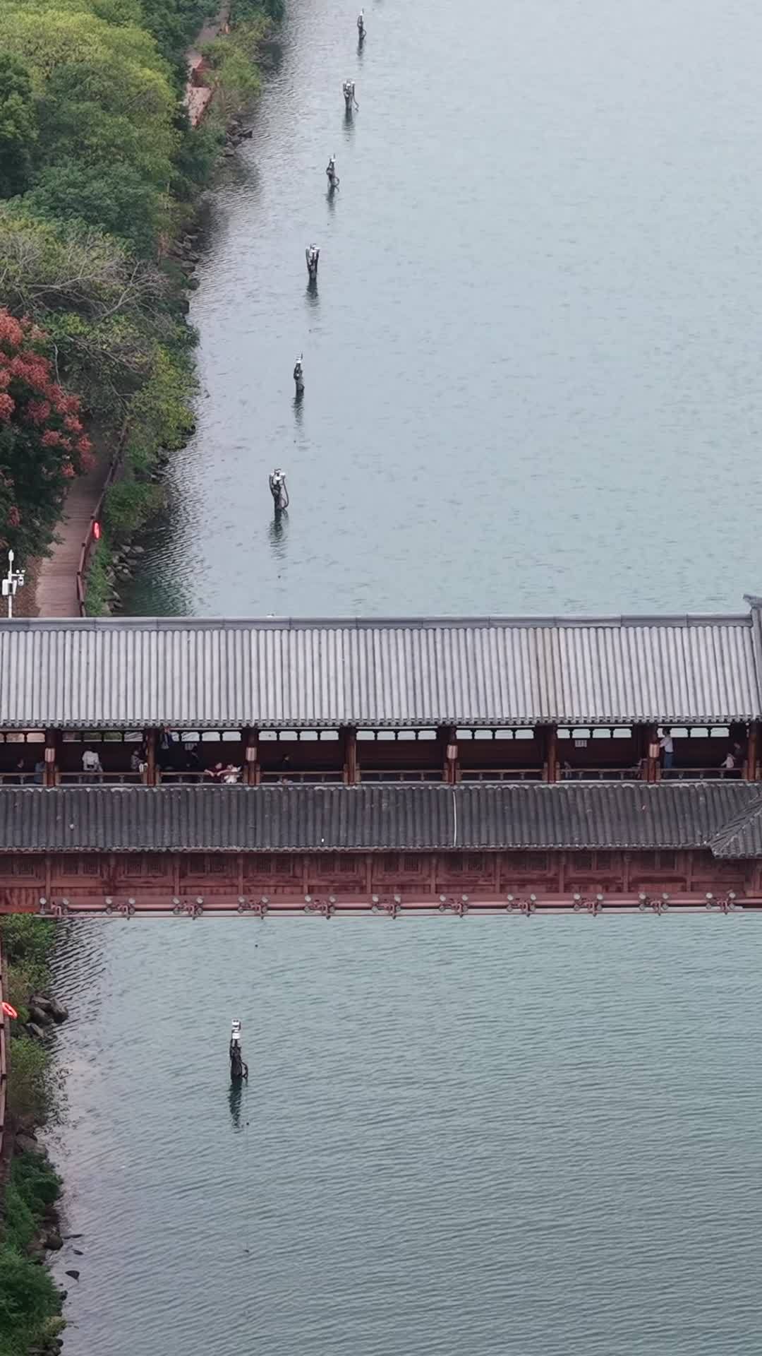 古桥静谧行