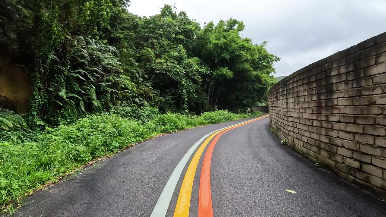 骑行在竹林小道