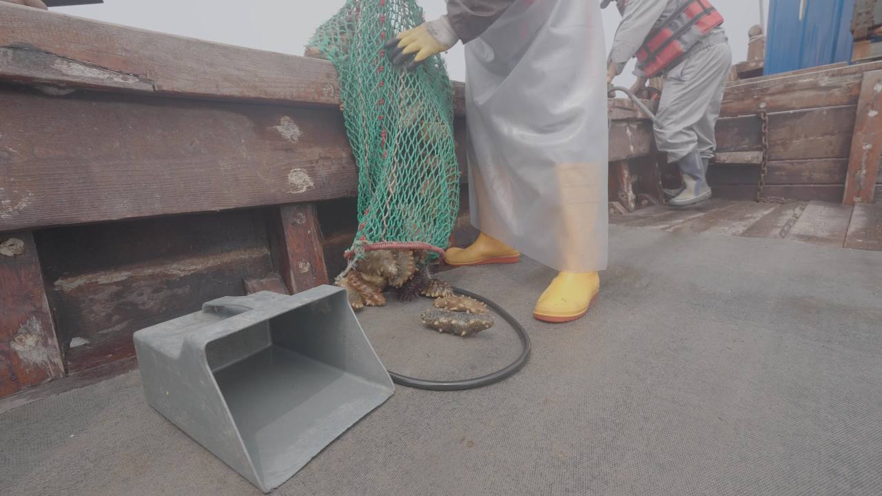 渔船捕捞海产现场