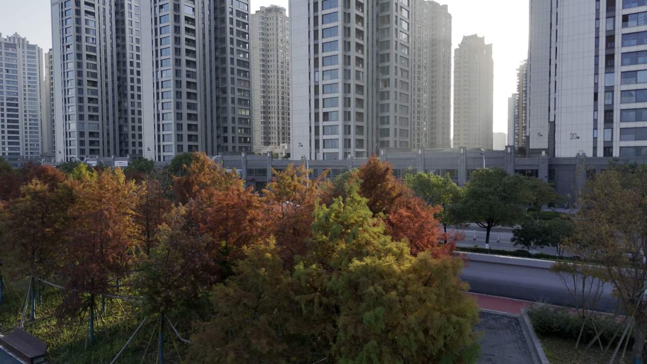 江边公园 21