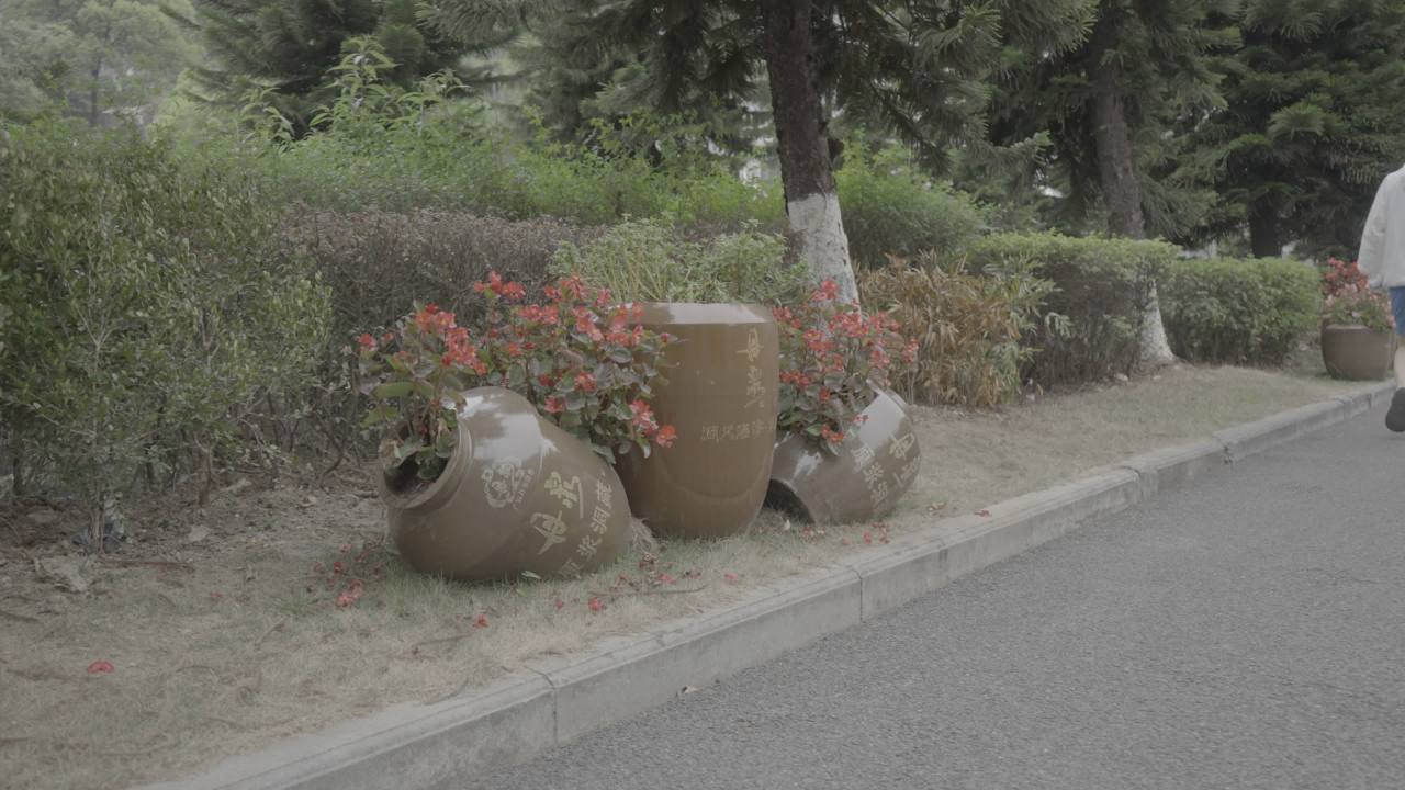 丹泉 5
