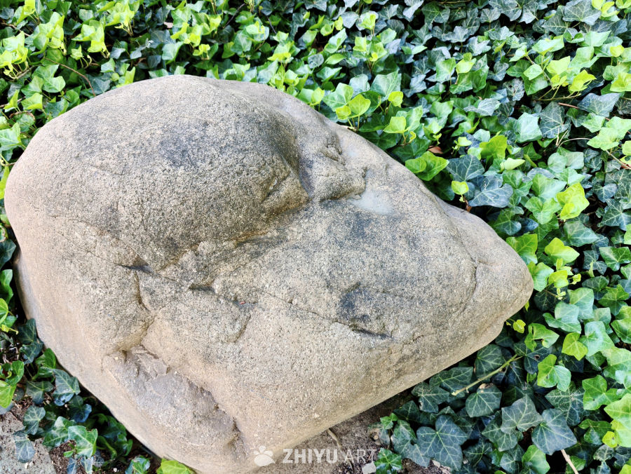 草丛里的石头