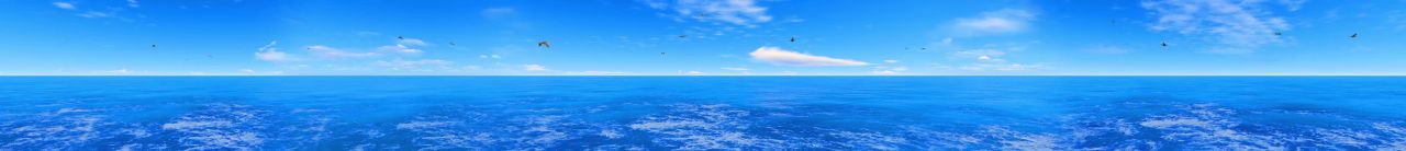 10K蓝色大海飞鸟海浪蓝天10000x1080