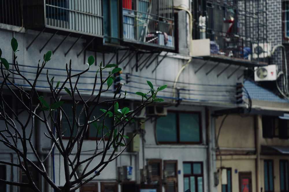风景