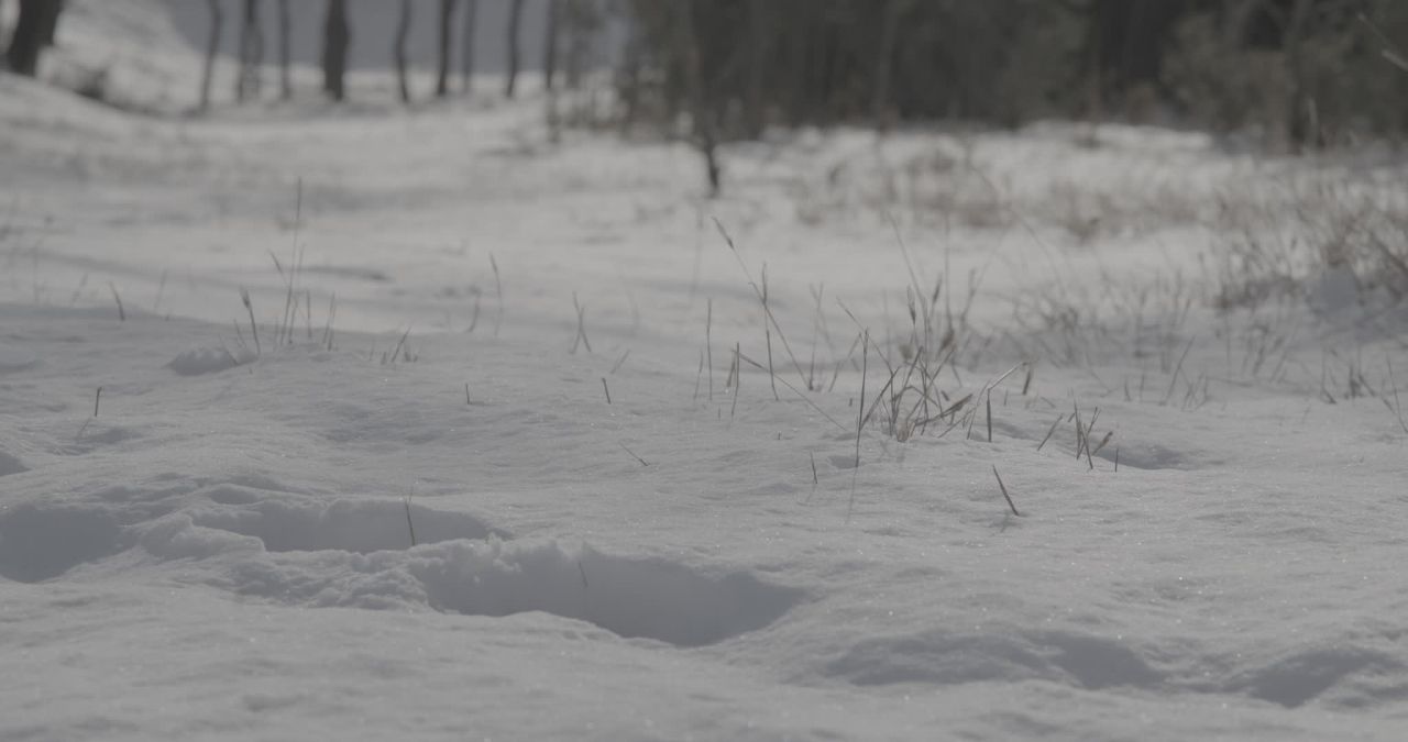 A_0004C376X251213_142048YQ_CANON