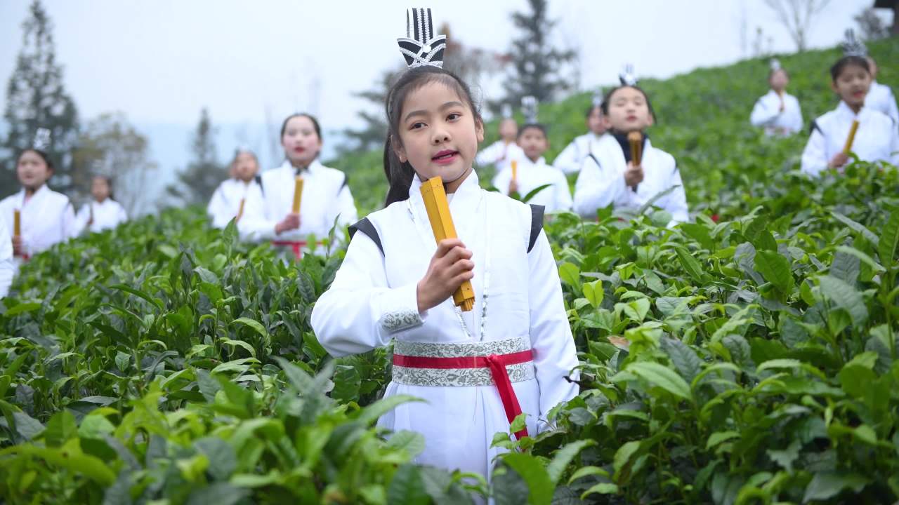茶园国学经典   小学生茶山研学表演