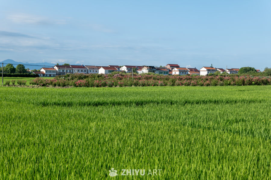 城市风景 28