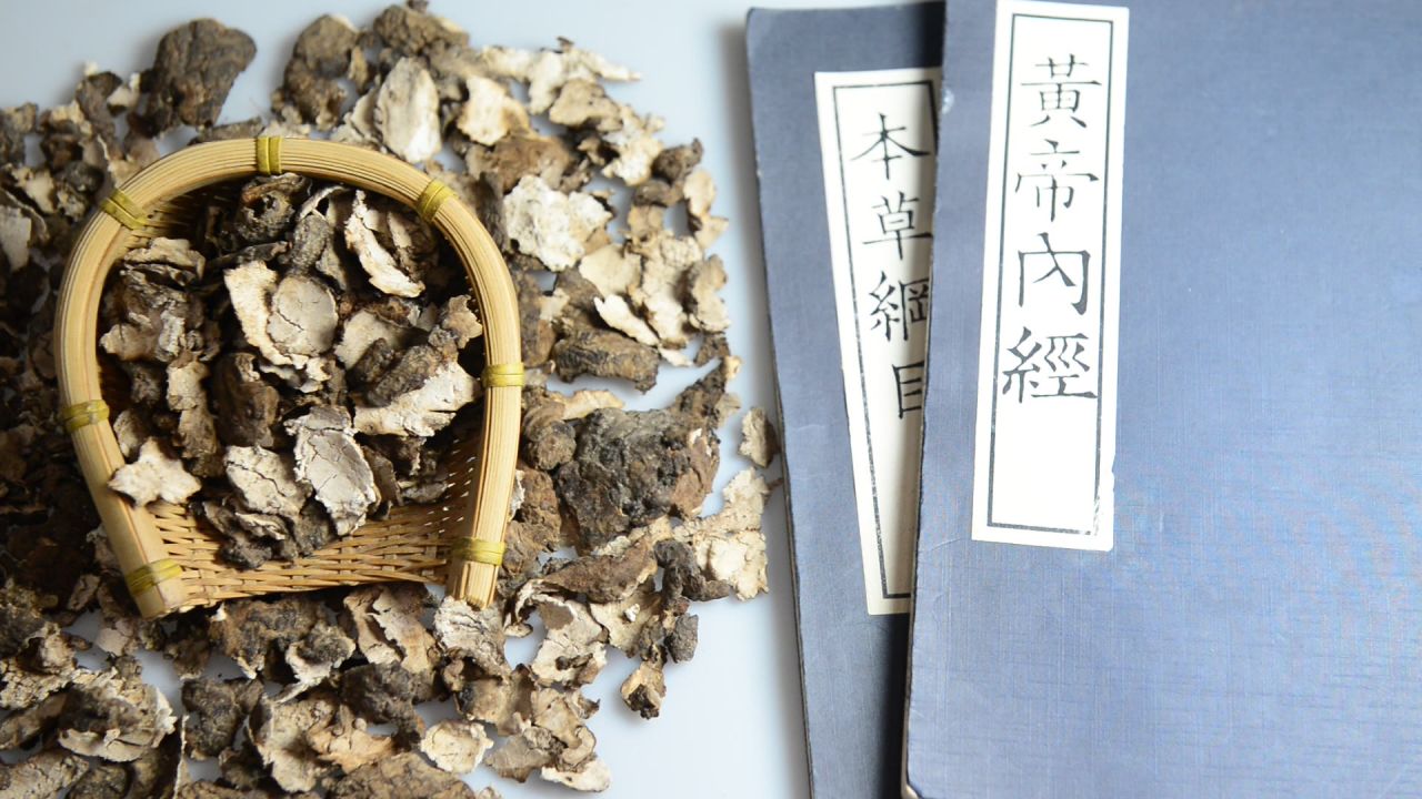 茯苓皮中药材 12