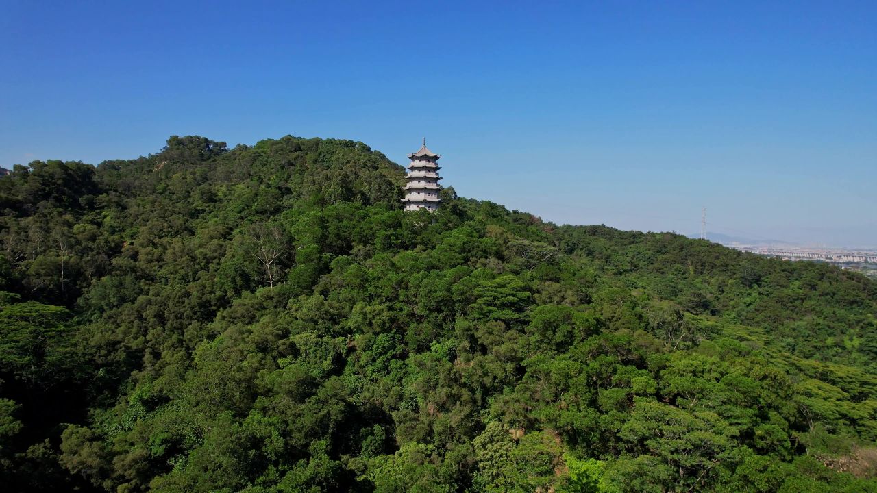 航拍漳州龙文塔景观