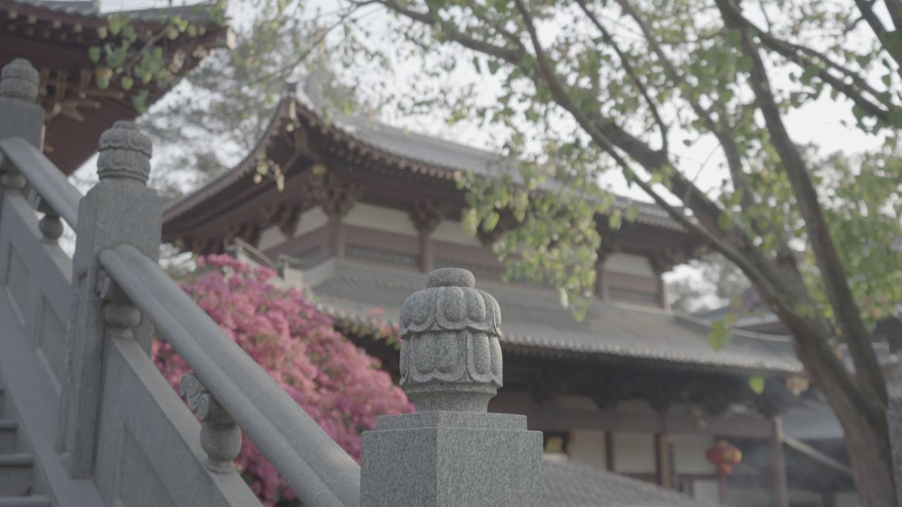 青山 12