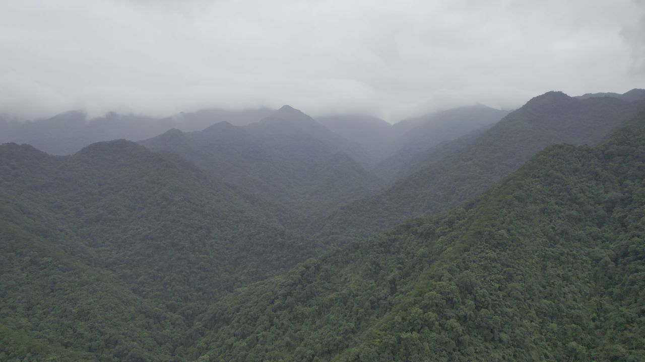 广西十万大山 2