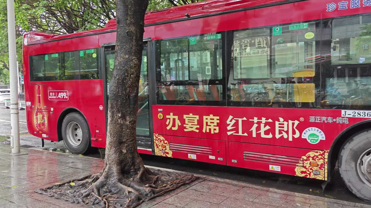 4K广州路边停靠的红色公交车