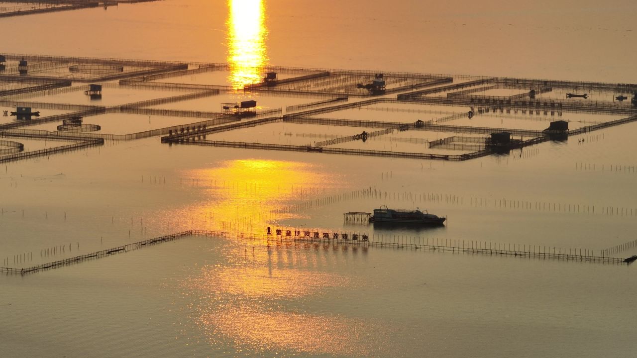 航拍阳澄湖夕阳落日