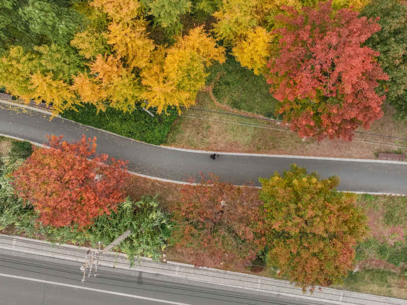 昆山道路上的秋冬景色 15